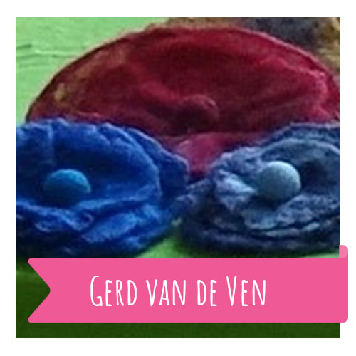 Gerd van de Ven